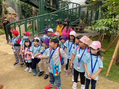 Kindergarten